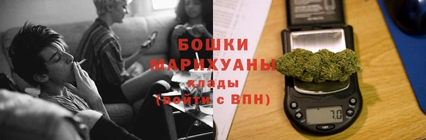 ПСИЛОЦИБИНОВЫЕ ГРИБЫ Верея