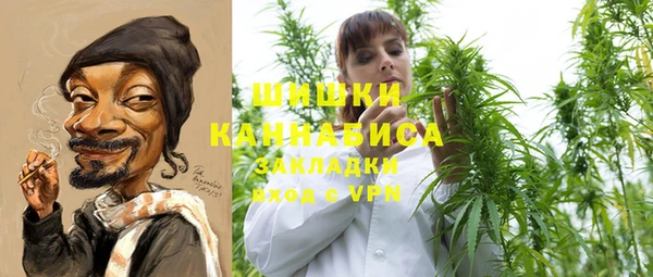 амф Верхний Тагил