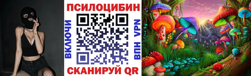 где купить наркоту  Чудово  Галлюциногенные грибы мухоморы 